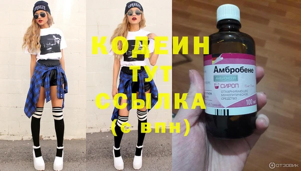 мяу мяу мука Аркадак