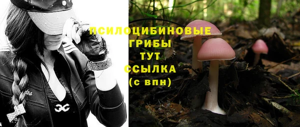 мяу мяу мука Аркадак