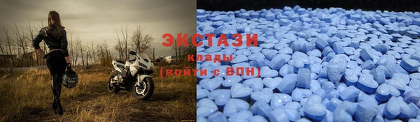 мяу мяу мука Аркадак